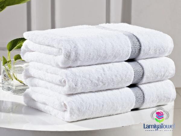 Purchase and price of towel zara home types