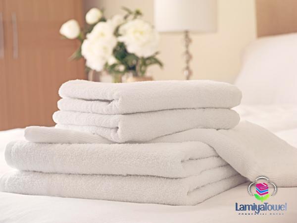 Buy and price of small hand towel white